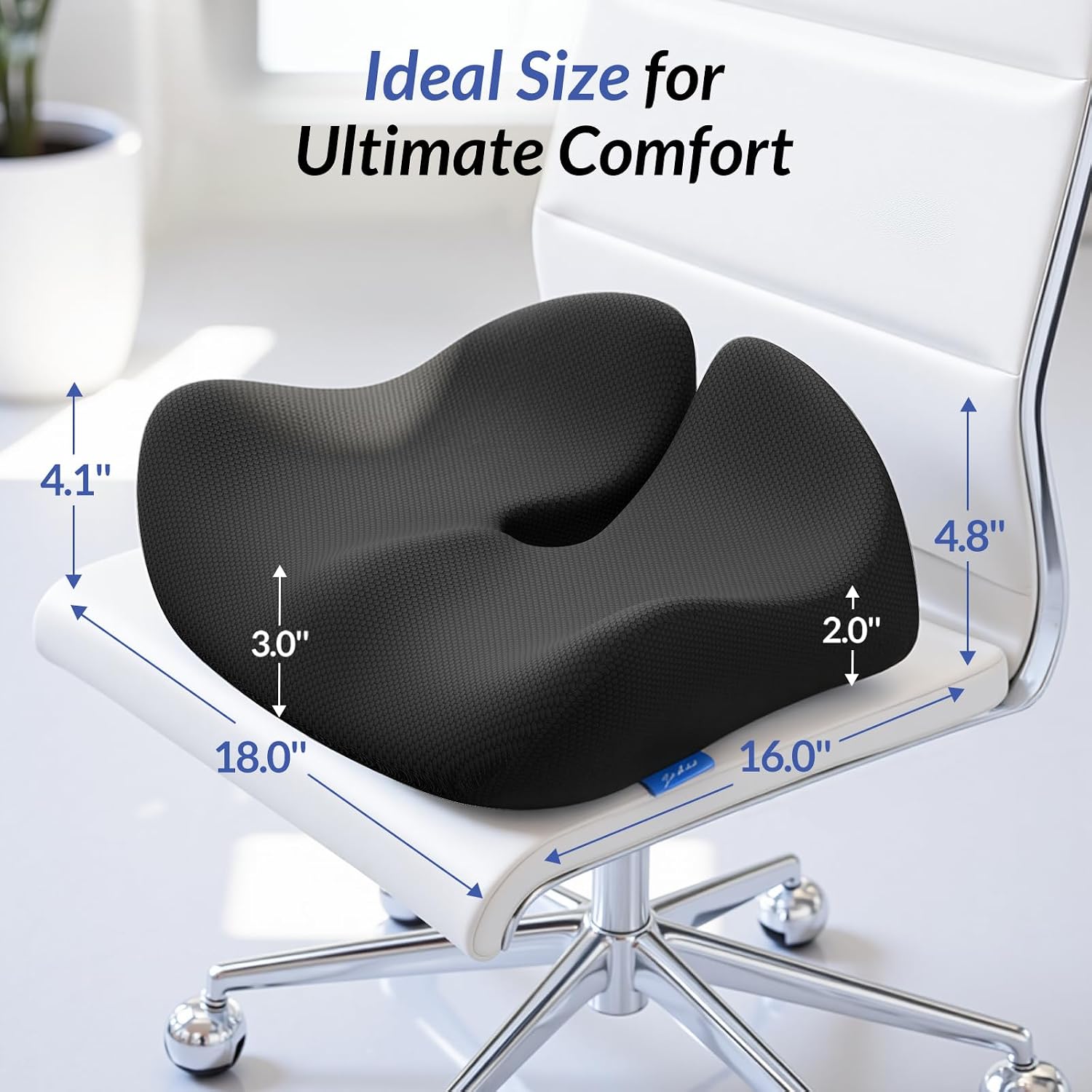 Pioneering Ergonomic Seat Cushions